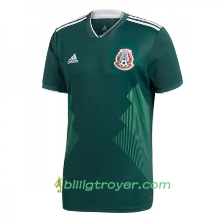 Billige Fotballdrakter Mexico Dame VM 2018 Hjemmedraktsett
